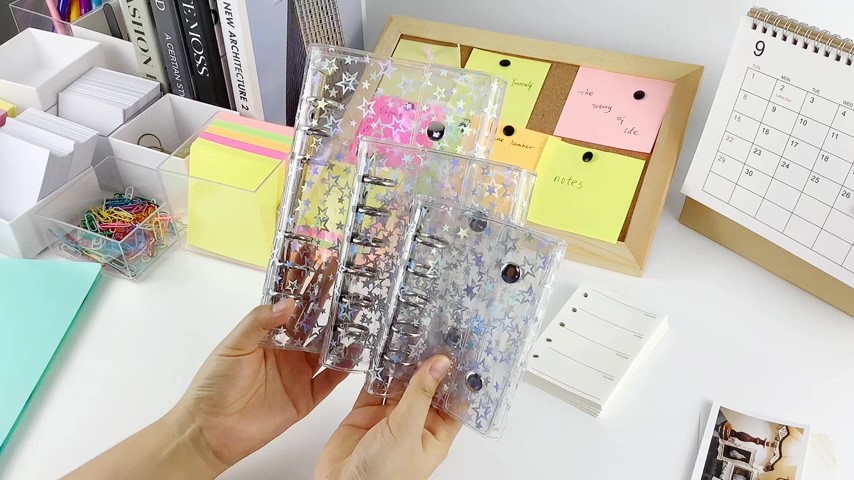 Amazon | Virtarlux シール帳 透明 女の子 はがせる A6 シール